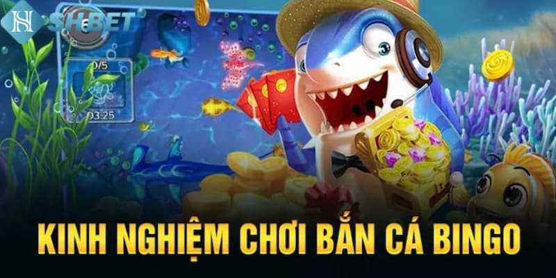 Banner www.andongfeed.vn