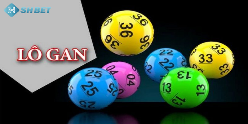 Banner www.andongfeed.vn