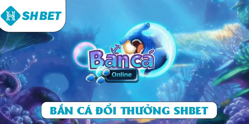 Banner www.andongfeed.vn