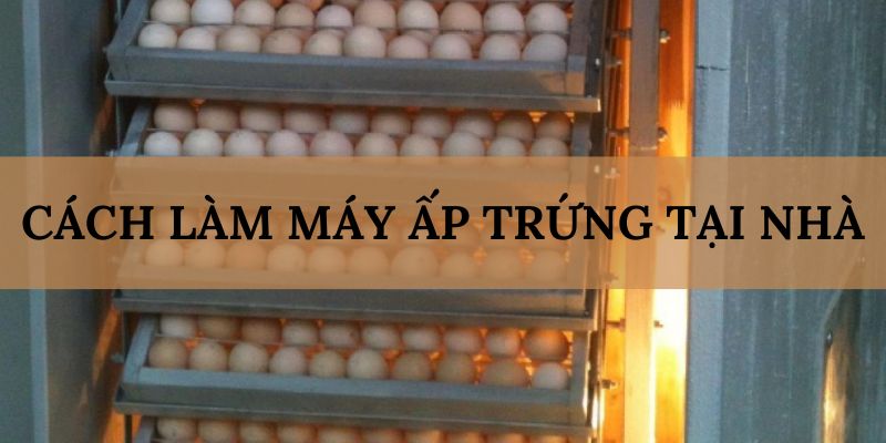 Banner www.andongfeed.vn