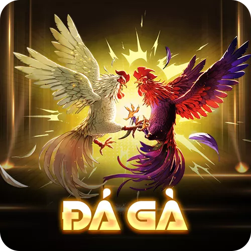 Banner www.andongfeed.vn