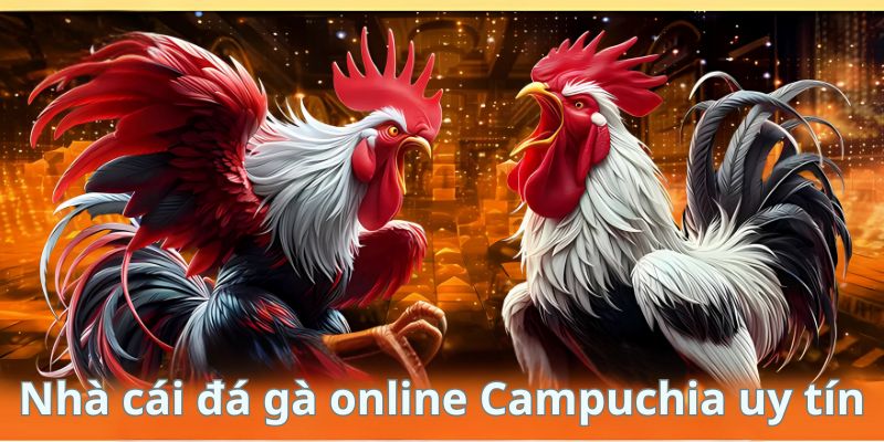 Banner www.andongfeed.vn