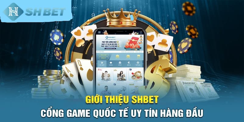 Banner www.andongfeed.vn