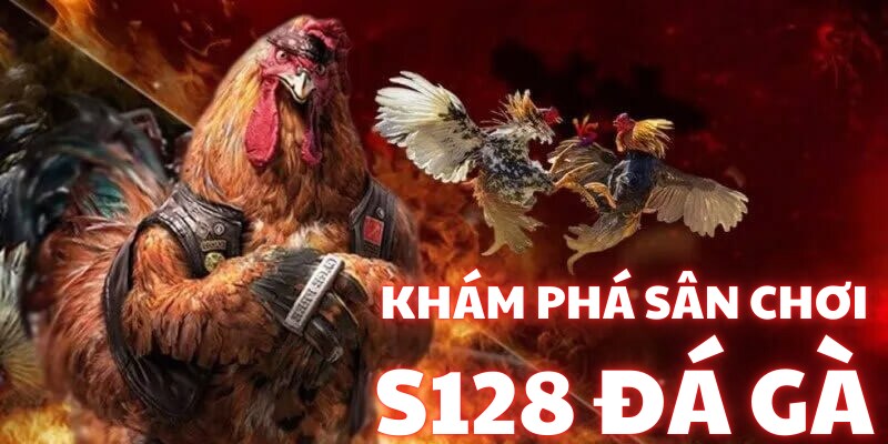 Banner www.andongfeed.vn