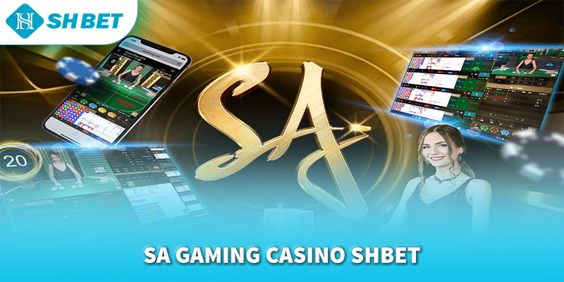 Banner www.andongfeed.vn