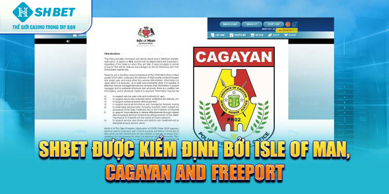 Banner www.andongfeed.vn