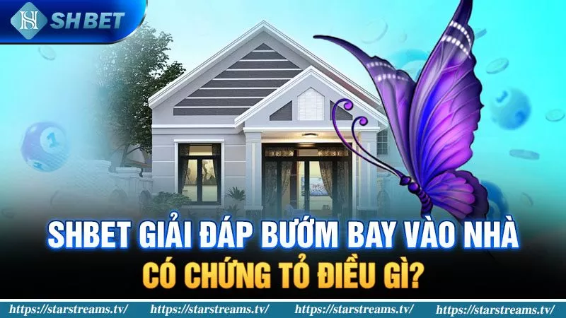 Banner www.andongfeed.vn