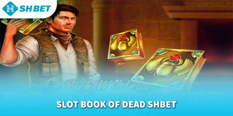 Banner www.andongfeed.vn