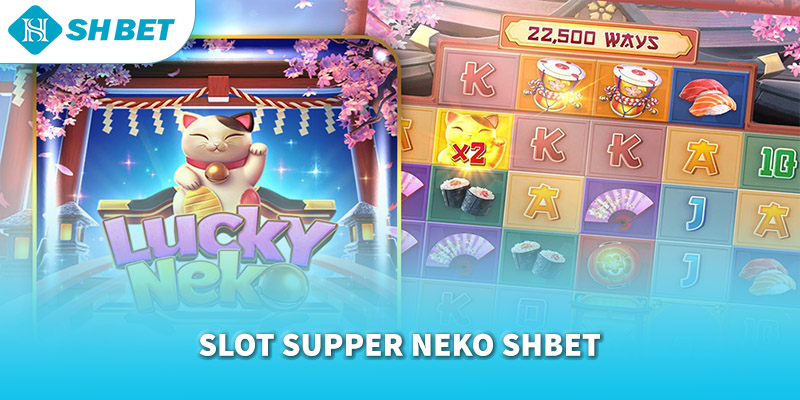 Banner www.andongfeed.vn