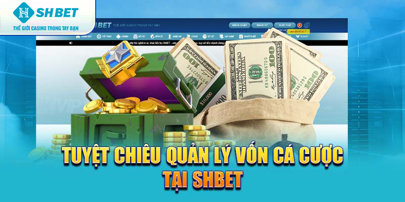 Banner www.andongfeed.vn